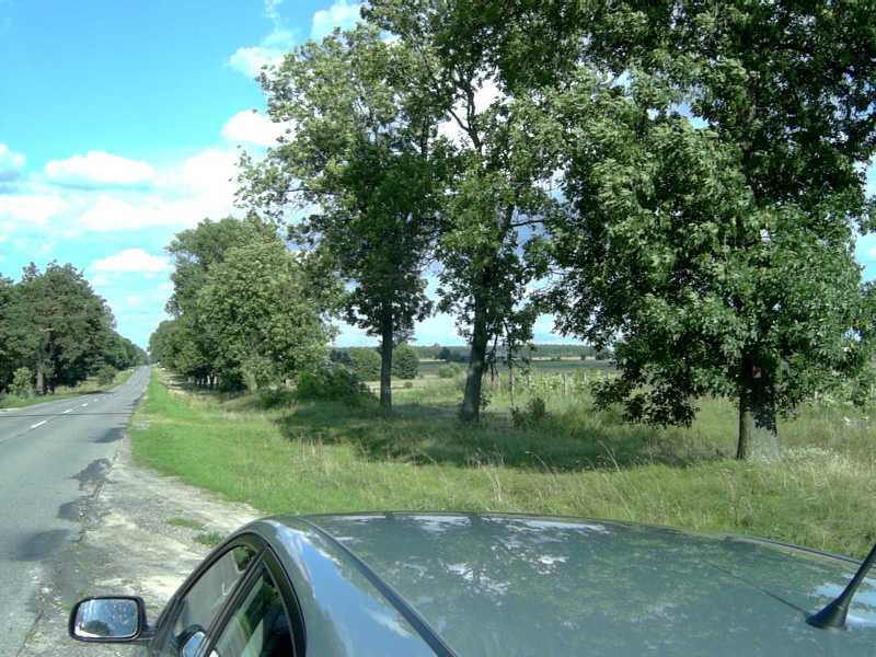 Polish countryside